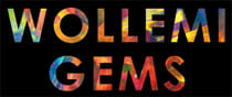 Wollemi Gems Logo 02